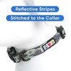 Reflective Dog Collar - 4 of 4