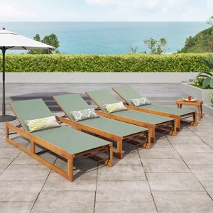 Christopher Knight Home Emile Outdoor Mesh and Acacia Wood Chaise Lounges (Set of 4) - 1 of 4