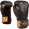 Venum Impact Hook and Loop Boxing Gloves - Black/Bronze - 2 of 2