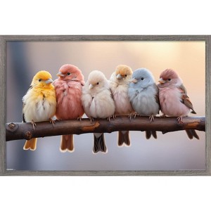 Trends International Reinders: Animals - Pastel Birds Framed Wall Poster Prints Barnwood Framed Version 14.725" x 22.375" - 1 of 4