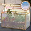D'Eco Iridescent Glass House Plant Terrarium (10x6x8) Tabletop Gold Geometric Planter Terrarium- Home, Office Decor- For Plant Lovers & Mother's Day - 3 of 4