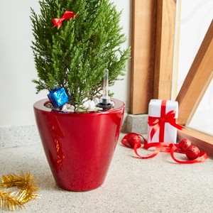 Maggift Planters Smart Self-watering Planter Pot for Indoor and Outdoor Round Cone, Garden Decor, Decorative Plant Pots, Balcony, Red 3"*11"*11" - 1 of 4