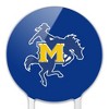 McNeese State University Primary Logo Acrylic Cake Topper Party Decoration for Wedding Anniversary Birthday Graduation - 3 of 4