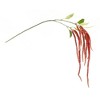 Melrose Amaranthus Floral Stem (Set of 4) - 2 of 3