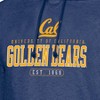 NCAA Cal Golden Bears Men's Hoodie - image 3 of 3