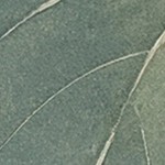 luster gray