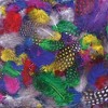 Creativity Street Rainbow Guinea Hen Feather Superpack 3 - 4 in, Assorted Color, Pack of 640 - 2 of 3
