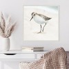 Amanti Art Sandpiper on the Beach II by Lucca Sheppard Canvas Wall Art Print Framed 22 x 22-in. - 4 of 4