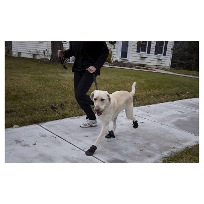 dog boots for labradors