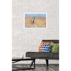 Trends International The Comedy Wildlife Photography Awards: Anup Deodhar - Rockstar Framed Wall Poster Prints - 2 of 4