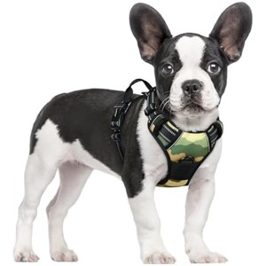 rabbitgoo Dog Harness No Pull with 2 Leash Clips, Control Handle for Large Dogs, Green Mountain,S - 1 of 1