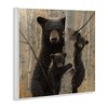 Stupell Industries Forest Black Bear and Cubs, 12" x 12" - 3 of 4