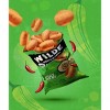 Wilde Brand Protein Chips - Spicy Queso - 4ct - image 3 of 4