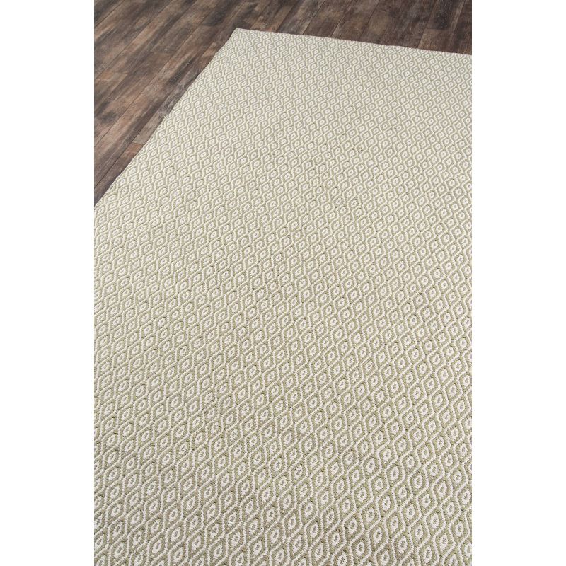 Newton Davis Hand Woven Recycled Plastic Indoor/Outdoor Rug Green - Erin Gates by Momeni, 3 of 11