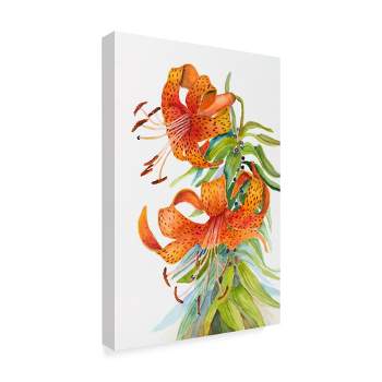 Trademark Fine Art -Joanne Porter 'Tiger Lilies' Canvas Art
