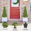 COWLOWN 3FT Artificial Topiary Trees, Set of 2 - 36 Inch Faux Boxwood, UV Resistant Evergreen Shrubs for Outdoor Planters, Front Porch & Patio Decor - 4 of 4