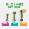 VetIQ Minties - Dental Peppermint Flavor Dog Treat - Tiny/Small - 4 of 4