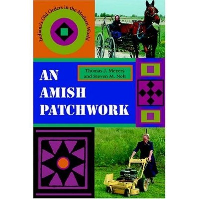 An Amish Patchwork - (Quarry Books) by  Thomas J Meyers & Steven M Nolt (Paperback)