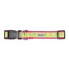The Worthy Dog Flamingos Dog Collar - 3 of 3