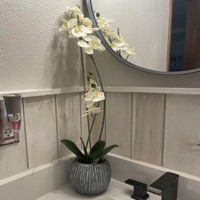Guest review image 1 of 2, zoom in