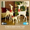 ACEPANO 52.80 in. H Set of 3 Christmas Deer Family Set Decorations For Indoor, Outdoor, Patio & Lawn-Silver - 3 of 4