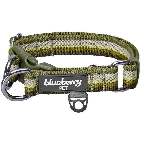 Basic Dog Adjustable Collar With Color Matching Buckle - Boots & Barkley™ :  Target