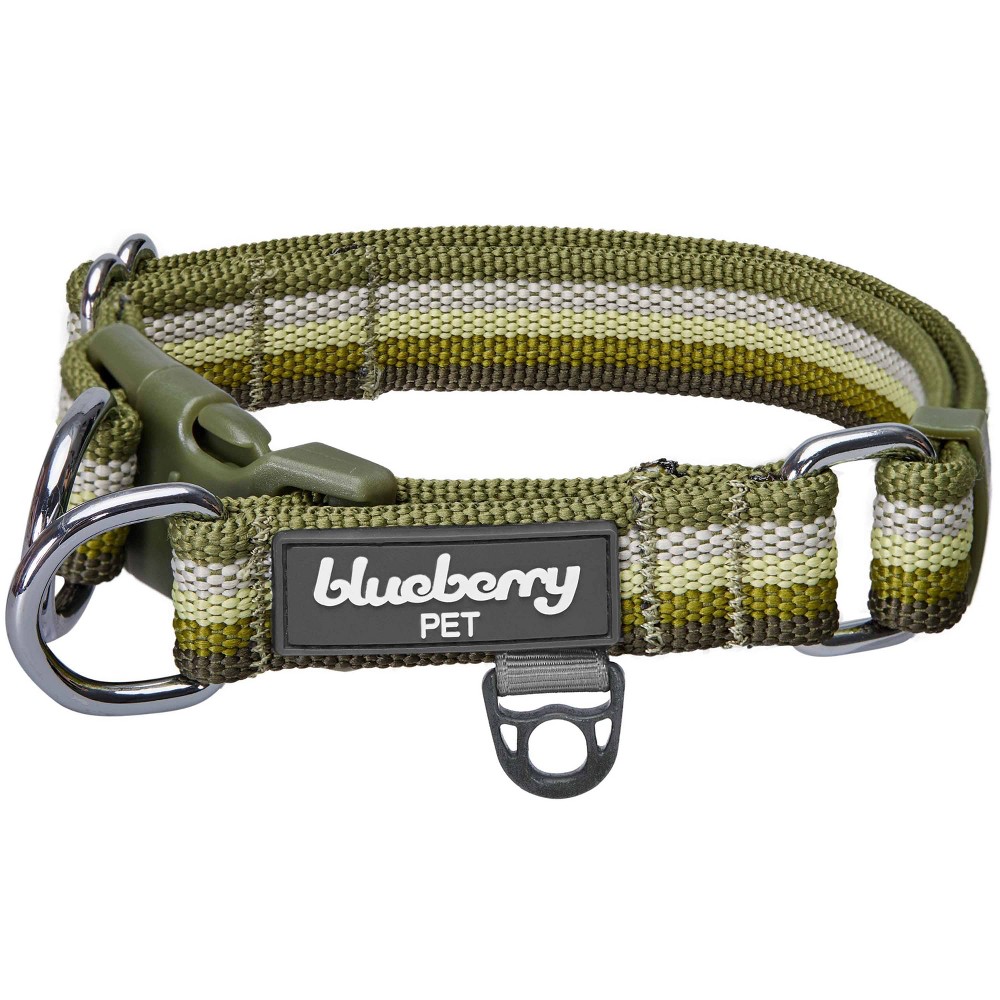 Blueberry Pet Stripe Adjustable Dog Collar - XL - Olive: Clip-In Clasp, 26" Maximum Size, All Ages, Dog Collar