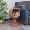 Munora Elevated Cat Bed, Rotatable Egg Chair Pod with Thick Cushion, Natural Mat Grass Woven Kitty House, Brown - 2 of 4