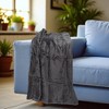 Unique Bargains Blanket Mesh Pineapple Pattern Coral Fleece Polyester 28"x39" - 4 of 4