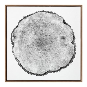 30" x 30" Sylvie Tree Rings Framed Wall Canvas by Emiko and Mark Franzen: Modern Botanical Art - Kate & Laurel All Things Decor - 1 of 4
