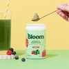 TODAY: Free Portable Blender ⚠️ - Bloom Nutrition