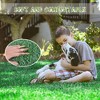 Famapy 118.1'' W Lifelike Artificial Grass Turf Area Rug,1.02" Thick Dense,Drainage Holes,Fireproof Rubber Backing,Soft,Easy-Clean,Indoor/Outdoor - 2 of 4