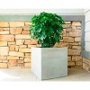 15" Kante Lightweight Outdoor Modern Square Concrete Planter Natural Concrete Gray - Rosemead Home & Garden, Inc. - 4 of 4
