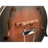 Gold Tone F-6  F-style Acoustic-Electric Mando-Guitar Vintage Sunburst - 3 of 4
