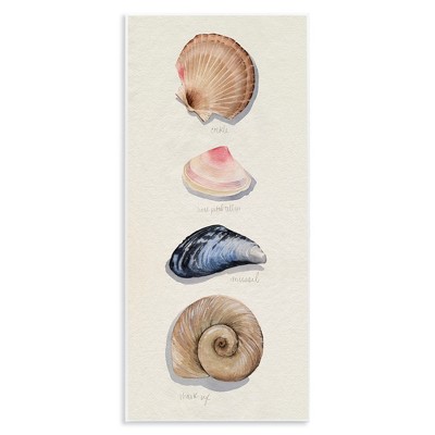 Stupell Industries Traditional Nautical Sea Shells, 7" x 17"