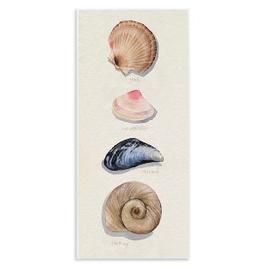 Stupell Industries Traditional Nautical Sea Shells, 7" x 17" - 1 of 4