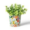 Rifle Paper Co. x Target Indoor Planter - 2 of 4