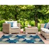 Liora Manne Capri Tropical Indoor/Outdoor Rug.. - 4 of 4