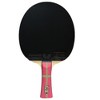Butterfly Apolonia ZLC Pro-Line Racket + Dignics 09c + Dignics 09c - 3 of 4