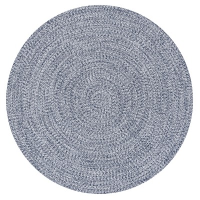 Nuloom Wynn Braided Indoor/Outdoor Area Rug
