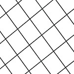 500 lbs | black + yellow