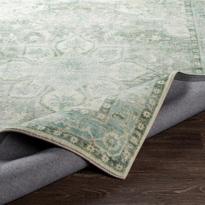 Heiereind Sage and Gray Hand-Knotted Oval Area Rug