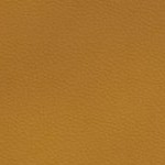 arizona state sun devils