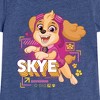 Girls' - Paw Patrol - Skye Character Art Fitted Short Sleeve Graphic T-Shirt - 2 of 4