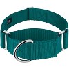 Country Brook Petz HossFit Jr Wide Martingale Dog Collar - Training Collar with No Buckle - Vibrant, Colorful Collection - 2 of 4