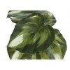 NicBex Artificial Plant Set of 2 13" Tall Artificial Monstera with Black Pot, Room Decor for Home Office Foyer Porch - 2 of 4