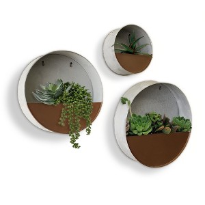 Modern Home Round Living Wall Mounted Galvanized Steel/Zinc Succulent/Herb Planter - 1 of 4