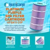Hurricane Filters HF8411-01P Platinum Purple Pool Cartridge for PWWCT75, Unicel C-8411, Filbur FC-1255, Waterway Clearwater II Pro-Clean 75 (3 Pack) - 2 of 4