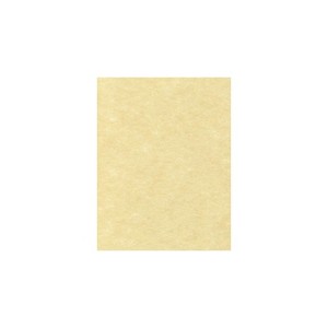 LUX Cardstock 8.5 x 11 inch Gold Parchment 50/Pack 81211-C-41-50 - 1 of 1