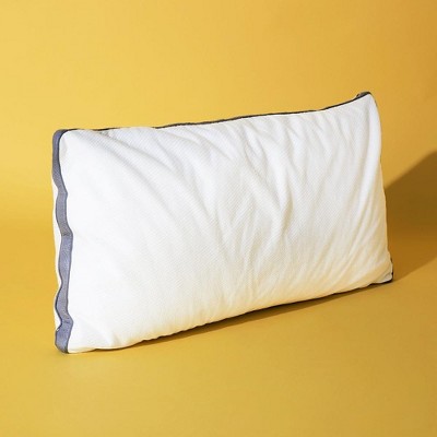 Coop Home Goods Pillow Protector - 2 
